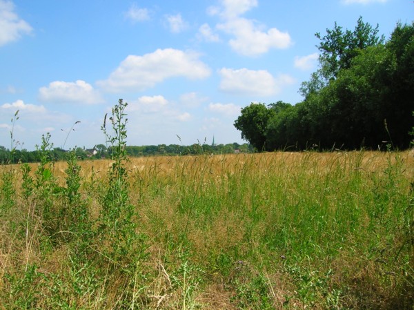 L&uuml;dinghausen in der Parklandschaft